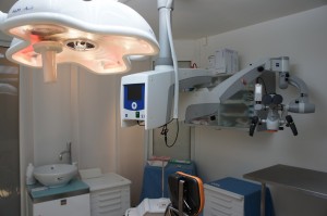 dentist drumul taberei