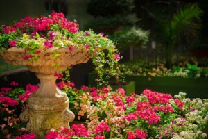 Elemente decorative
