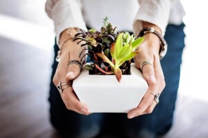 tesuturi plante