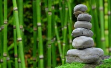 semnificatie charoit