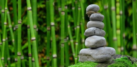 semnificatie charoit