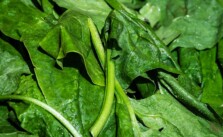 surse vegetale de fier